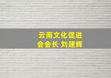 云南文化促进会会长 刘建辉